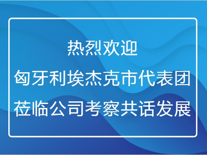 熱烈歡迎匈牙利埃杰克市代表團蒞臨公司考察共話發(fā)展